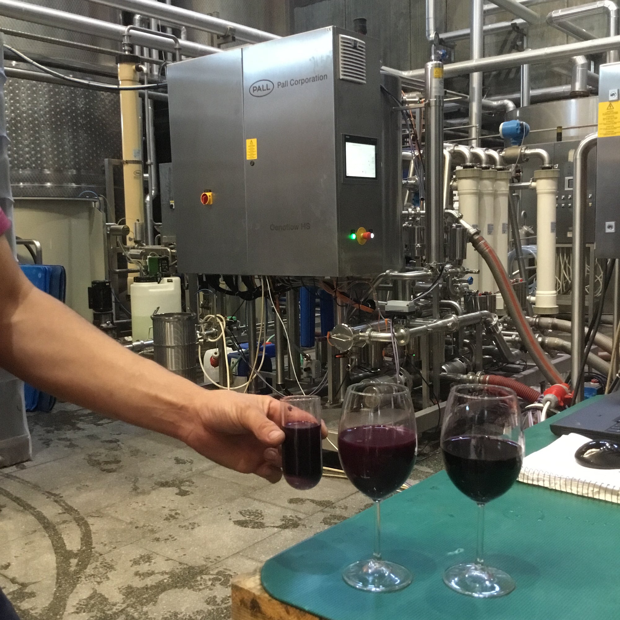 Vinery Dalvina