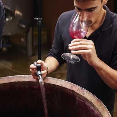 Oenology and Oenological Products